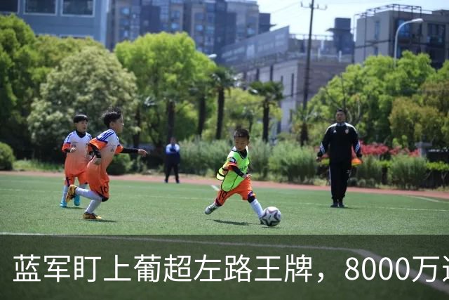 蓝军盯上葡超左路王牌，8000万违约金拦着，切尔西却已经敲门了